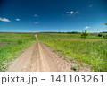 Dirt country road through green meadow under clear blue sky Dirt country road through green meadow under clear blue sky 141103261