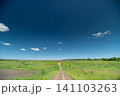 Dirt path through green summer meadow under deep blue sky Dirt path through green summer meadow under deep blue sky 141103263
