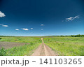 Rural dirt path through green summer field under deep blue sky Rural dirt path through green summer field under deep blue sky 141103265