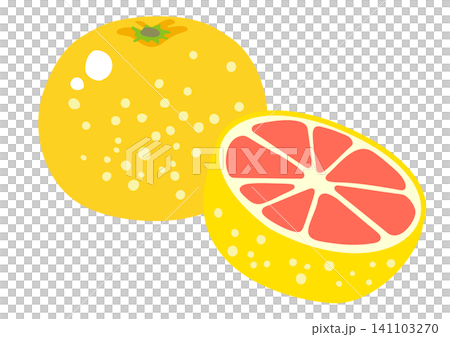 可愛的葡萄柚的插圖 141103270