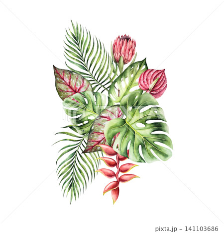 Tropical watercolor bouquet, composition. Monstera, palm, protea calladium, red anthurium, heliconia flower. Hand drawn isolated illustrations on transparent background. Perfect for tropical design pr 141103686