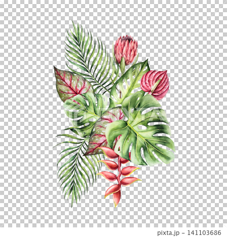 Tropical watercolor bouquet, composition. Monstera, palm, protea calladium, red anthurium, heliconia flower. Hand drawn isolated illustrations on transparent background. Perfect for tropical design pr Tropical watercolor bouquet, composition. Monstera, palm, protea calladium, red anthurium, heliconia flower. Hand drawn isolated illustrations on transparent background. Perfect for tropical design pr 141103686