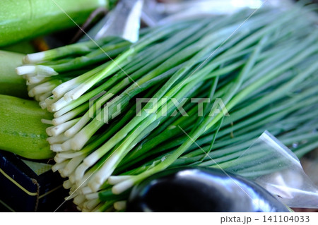 green onions at market. Green Onions and Vibrant Farmer Market Display for Healthy Cooking green onions at market. Green Onions and Vibrant Farmer Market Display for Healthy Cooking 141104033