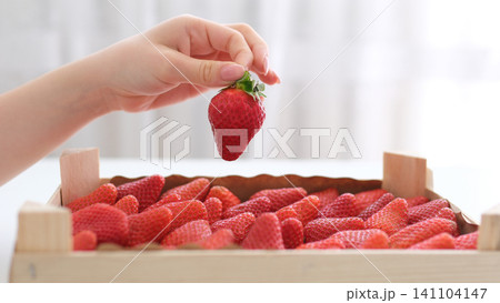 Woman holding large fresh strawberry near crate filled with ripe berries Woman holding large fresh strawberry near crate filled with ripe berries 141104147