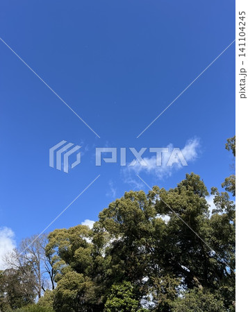 気持ちいい青空と新緑 141104245