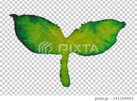 Watercolor illustration bud Watercolor illustration bud 141104855