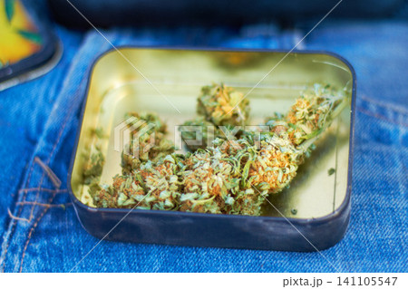 Cannabis, marijuana and bud of weed in container for joint, smoking and blunt for peace or calm as habit. Medicine, box and green plant to reduce pain, stress and anxiety with mental health benefits 141105547