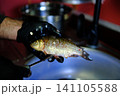 full recipe Complete process of cooking crispy fried crucian carp from cleaning and seasoning to golden frying in nonstick pan creating traditional homemade fish recipe close up food video 141105588