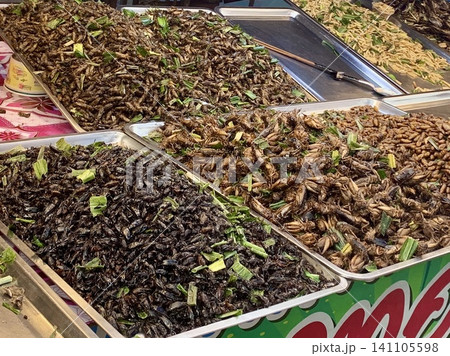 タイの屋台で売られている昆虫食 タイの屋台で売られている昆虫食 141105598