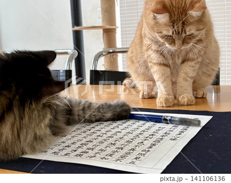 写経の邪魔をする猫たち 141106136