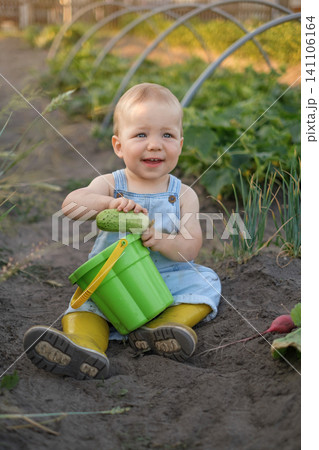 A funny cute baby with a bucket and cucumbers is sitting on the ground in a vegetable garden. Homegrown vegetables without GMOs 141106164