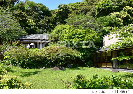 神奈川県 鎌倉市川喜多映画記念館庭園と新緑 神奈川県 鎌倉市川喜多映画記念館庭園と新緑 141106654