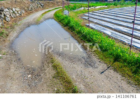 京都市 大原の未舗装の農道の水たまり 京都市 大原の未舗装の農道の水たまり 141106761