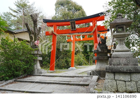 赤い鳥居と桜が続くお稲荷様 竹中稲荷社 赤い鳥居と桜が続くお稲荷様 竹中稲荷社 141106890