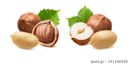 Peanut and hazelnut nuts with green leaves isolated on white background. Real photography. Peanut and hazelnut nuts with green leaves isolated on white background. Real photography. 141106936