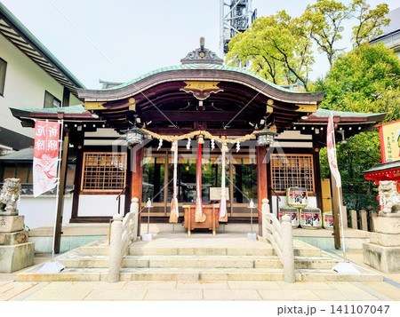 甲子園素盞嗚神社の本殿参拝 甲子園素盞嗚神社の本殿参拝 141107047