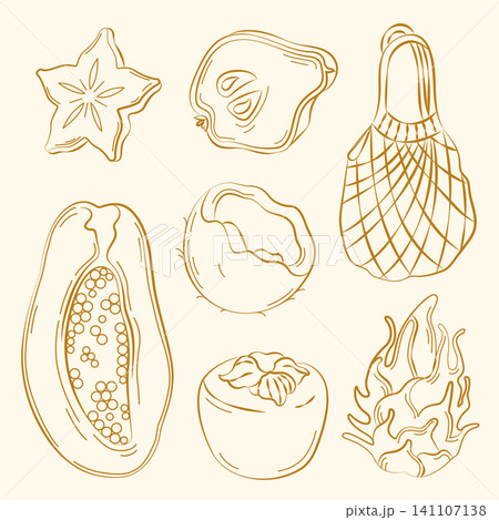 Hand-drawn tropical summer fruits, papaya, coconut, persimmon, carambola, dragon fruit and string bag line art for packaging Hand-drawn tropical summer fruits, papaya, coconut, persimmon, carambola, dragon fruit and string bag line art for packaging 141107138