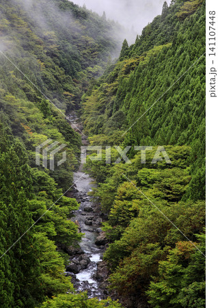 霧に包まれる山肌と清流 霧に包まれる山肌と清流 141107448