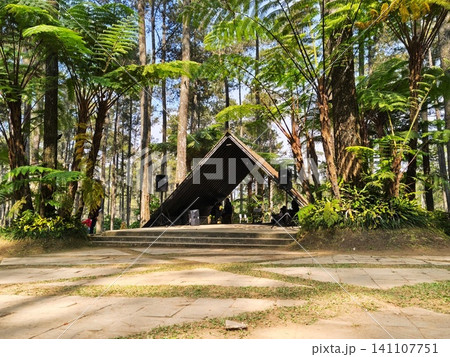 Performance stage with a unique triangular roof in a forest. Performance stage with a unique triangular roof in a forest. 141107751