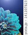 Surreal dark chrome blue flower dahlia with drops of water, macro. place for text 141107823