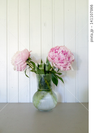 pink peonies arranged in a glass vase on a white wooden wall, elegant and serene setting, home decor and interior design visual resource for modern and natural aesthetic. 141107866