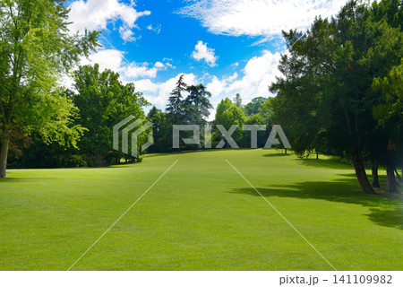 Beautiful Green Lawn in Public Park with Big Trees Under Blue Sky on Sunny Summer Day 141109982