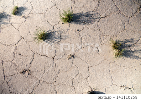 Dry cracked earth with sparse grass patches and shadows in sunlight 141110259