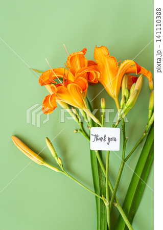 Beautiful hemerocallis blossoms with thank you note and copy space Beautiful hemerocallis blossoms with thank you note and copy space 141110388