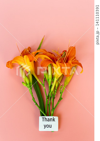Orange daylily flowers with thank you card on pastel pink background Orange daylily flowers with thank you card on pastel pink background 141110391