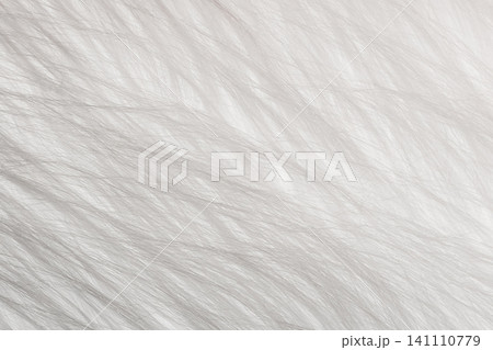 White soft wool pattern texture abstract light fluffy fur background structure backdrop White soft wool pattern texture abstract light fluffy fur background structure backdrop 141110779