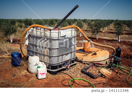 Agriculture in Andalusia, a field of young olive trees in Carmona 141111346
