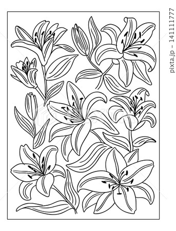 Black and white illustration of various lily flowers with detailed outlines, showcasing multiple floral arrangements and leaf patterns on a plain background 141111777