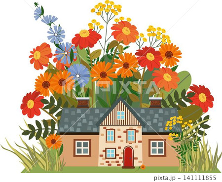 Cozy beige house surrounded by autumn flowers vector illustration Cozy beige house surrounded by autumn flowers vector illustration 141111855
