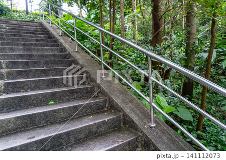 Outdoor stone staircase ascending through lush forest Outdoor stone staircase ascending through lush forest 141112073