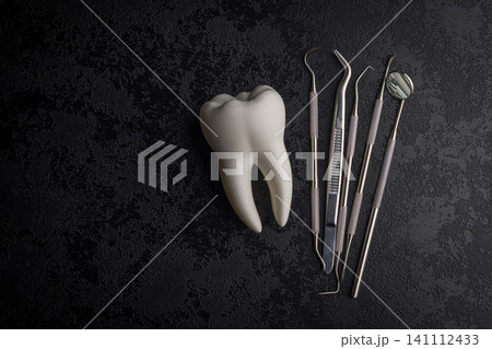 Dental Tooth Model With Stainless Steel Dental Tools and Mirror on Dark Background for Dentistry Dental Tooth Model With Stainless Steel Dental Tools and Mirror on Dark Background for Dentistry 141112433