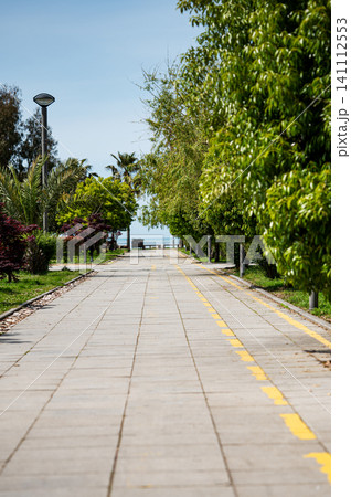 Sunny park walkway lined with lush trees and the sea in the background on a summer day. Sunny park walkway lined with lush trees and the sea in the background on a summer day. 141112553