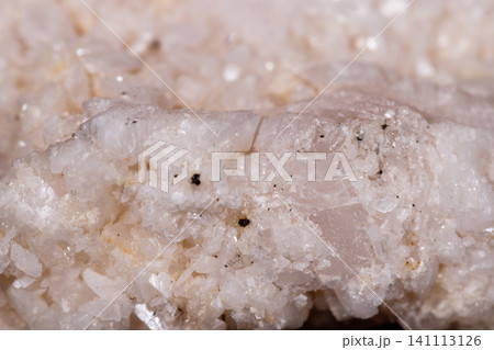 Macro mineral stone Amphibolite in quartz on black background Macro mineral stone Amphibolite in quartz on black background 141113126