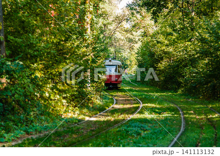 Tram and tram rails in colorful forest Tram and tram rails in colorful forest 141113132