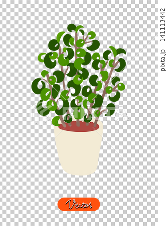 ベンジャミン・バロックの鉢植え　水彩風手描きベクターイラスト 141113442