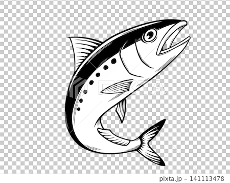 沙丁魚的插圖,沙丁魚是一種美味的魚類。 沙丁魚的插圖,沙丁魚是一種美味的魚類。 141113478