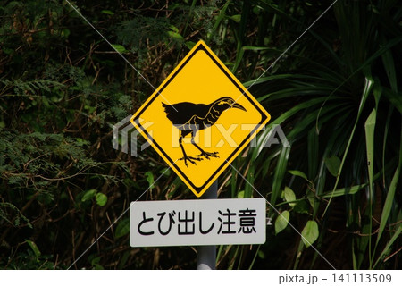 やんばる ヤンバルクイナ 注意標識 沖縄の希少鳥類 やんばる ヤンバルクイナ 注意標識 沖縄の希少鳥類 141113509