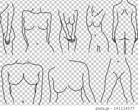 女性身體插圖 141114577