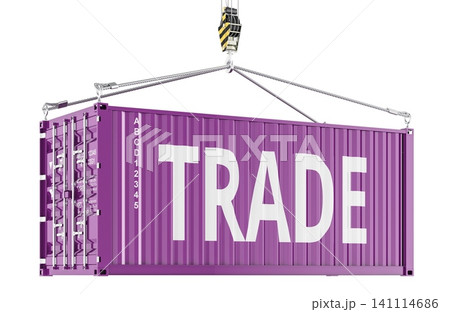 Trade shipping container lifted by crane cables. 3D rendering Trade shipping container lifted by crane cables. 3D rendering 141114686