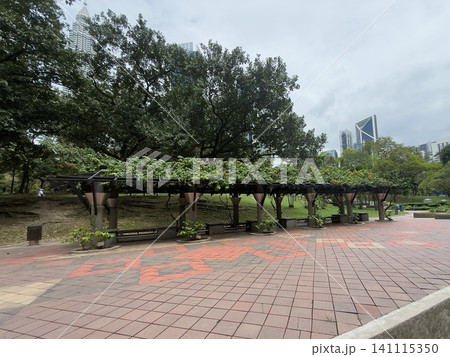 マレーシアのKLCC公園で見た風景 141115350