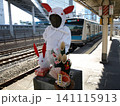 うさぎ 141115913