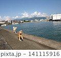 河口のイヌ 141115916