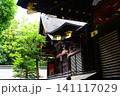 【埼玉県指定有形文化財】極彩色の木彫り秩父神社 141117029