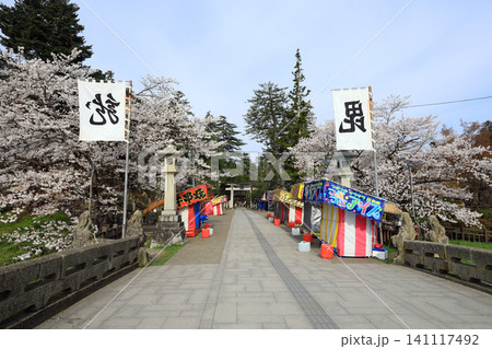 山形県米沢市の松が岬公園の桜 山形県米沢市の松が岬公園の桜 141117492