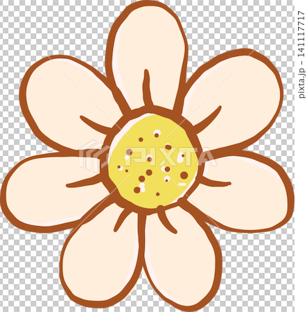 Hand drawn Daisy Flower Illustration Hand drawn Daisy Flower Illustration 141117717