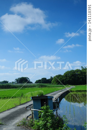 田んぼ道のある風景 141118391